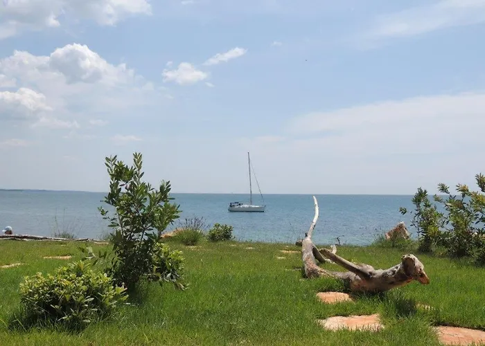 Erica Luxury 아파트 Novigrad Istria
