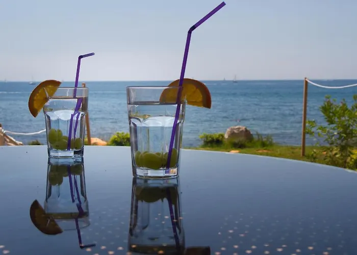 Erica Luxury アパート Novigrad Istria